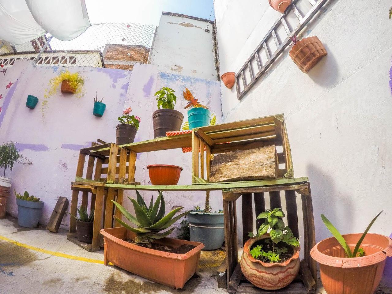 Casa Papa Chango San Cristobal de las Casas Ngoại thất bức ảnh